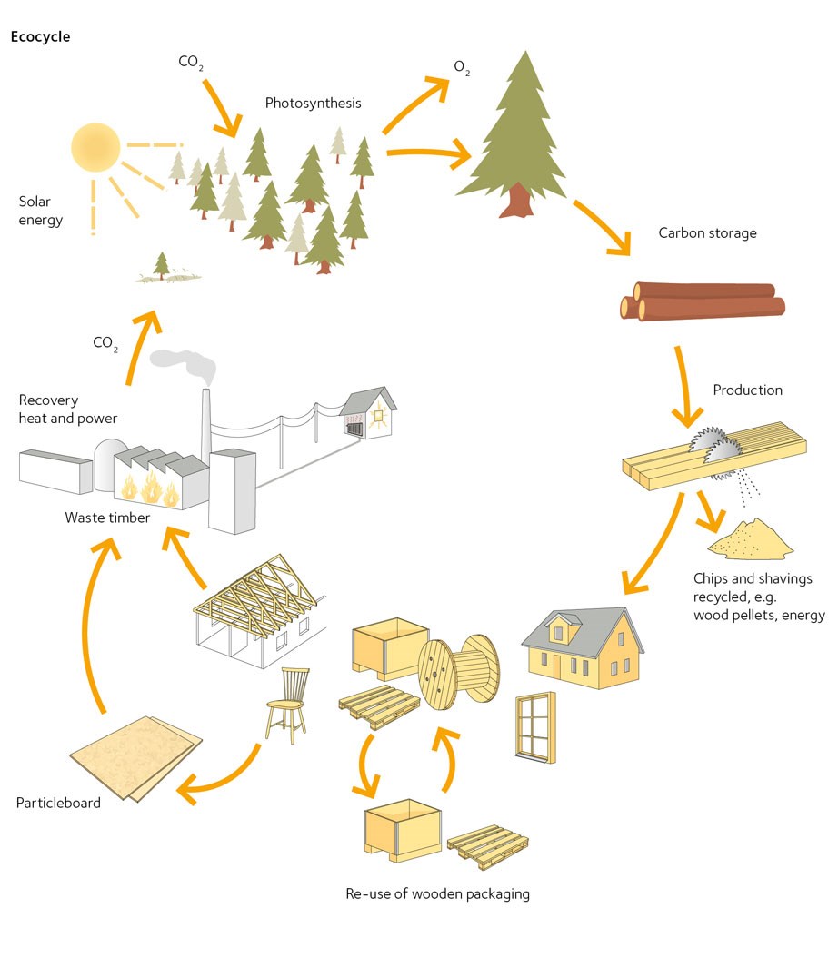 avt-fig12-en.jpg