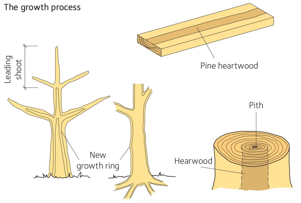 How to get wood, softwood, and hardwood in Lightyear Frontier