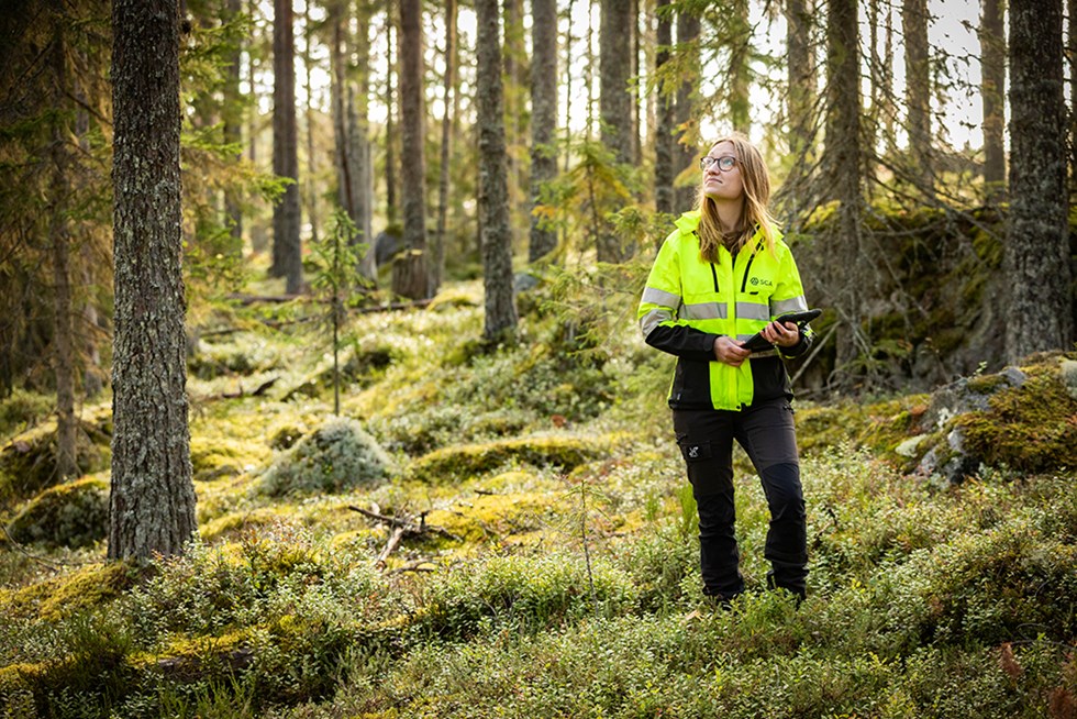 Skog Ida Kilgren foto Michael Engman.jpg